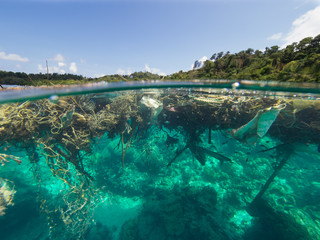 Wall Mural - Floating garbage