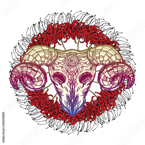 Realistic Detailed Hand Drawn Illustration Of An Old Sheep Skull With Cracks Flower On Forehead And Realistic Detailed Hand Drawn Illustration Of An Old Sheep Skull With Cracks Flower On Forehead And