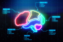 Digital Brain Wallpaper