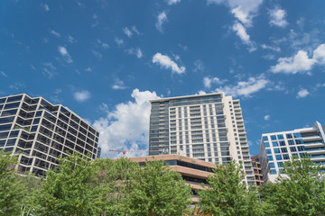 Wall Mural - Green public city park in downtown Dallas sunny day. Green tree lush canopy with modern buildings in background cloud blue sky. Urban recreation and outdoor activities concept.