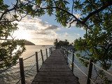 Fototapeta Pomosty - Ocean Landscape Boardwalk Walkway Over Beach out to Lone Palm Tree Island in Fiji with Beautiful Tree Boarder Surround