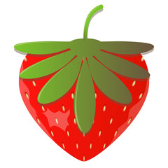 Strawberry. Vector illustration