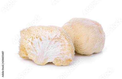 mushroom mokey head, lion mane or yamabushitake isolated on white background Poster