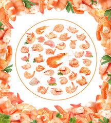 Canvas Print - Fresh shrimps