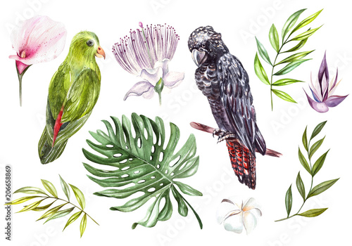 Watercolor set with different tropical leaves and  bird.