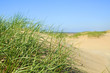 © Janina_PLD - Dünen an der Nordsee