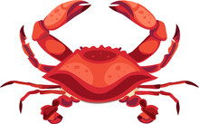 Red Crab Isolated Vector Illustration.