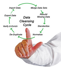 Poster - Data Cleansing Cycle.