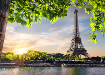 Wall Mural - Sunset over Eiffel Tower