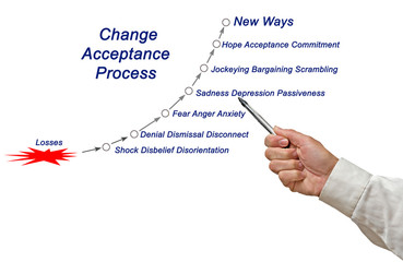 Canvas Print -  Change Acceptance Cycle .