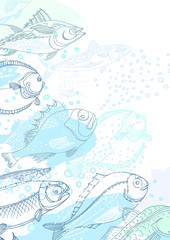 Vector design of sea fish. Doodle background