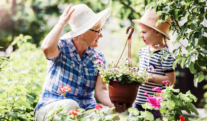 Gardening with kids. Senior woman and her grandchild working in the garden with a plants. Hobbies and leisure, lifestyle, family life