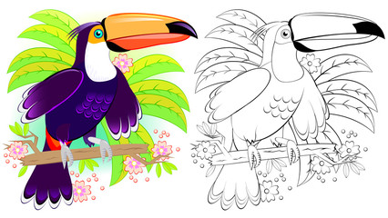 Wall Mural - colorful and black and white pattern for coloring. illustration of cute toucan. worksheet for childr