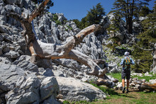 Hiker On Lycian Way