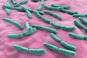 Poster - Bacteria Lactobacillus, 3D illustration. Normal flora of small intestine, lactic acid bacteria. Probiotic bacterium