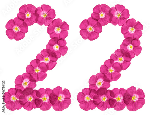 Poster Arabic numeral 22, twenty two, from pink flowers of flax, isolated on white back