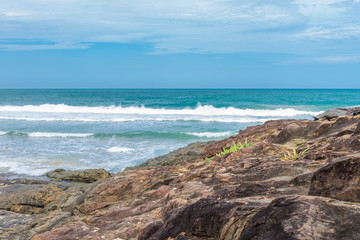 Poster - Itacare nature and beach in Bahia