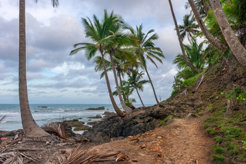 Poster - Trailway from havaizinho to Gamboa beach in the woods