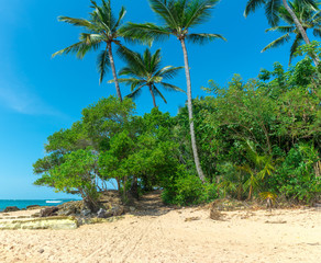 Poster - Sandy walkway at  barra grande beach in  Brazil