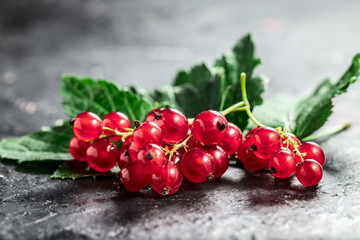 Wall Mural - Red currant  and leaf on black texture background with copyspace