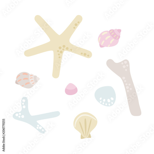 いろいろな形と色のサンゴや貝殻のイラスト Stock Vector Adobe Stock いろいろな形と色のサンゴや貝殻のイラスト Stock Vector Adobe Stock