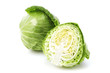 キャベツ　Cabbage
