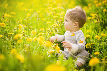 Wall Mural - Concept: family values. Portrait of adorable innocent funny brown-eyed baby playing outdoor in the sunny dandelions field.