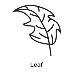 Poster - Leaf icon vector sign and symbol isolated on white background