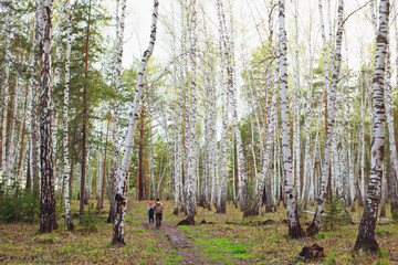 two kids walking in the birch forest