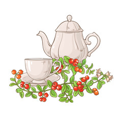 Poster - cranberry tea illustration