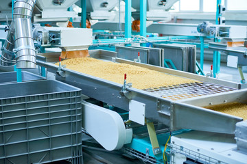 Wall Mural - Crop shot of production process at modern food factory, focus on conveyor machine  unit sorting macaroni, copy space