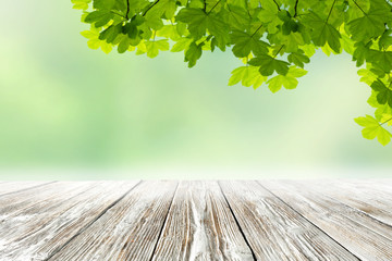 Wall Mural - old white and gray wooden table top with copy space for products and blurred green background with w