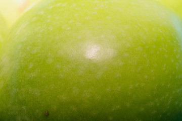 Ripe green apple