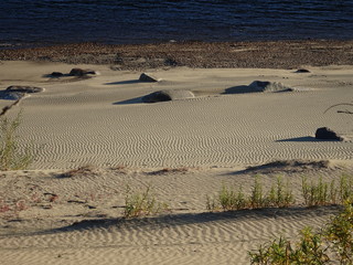 Texture: sandy beach, dunes