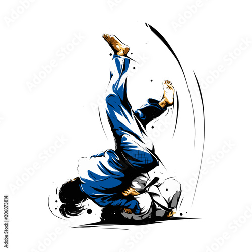 Fototapeta Karate  akcja-judo-6