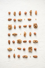 Poster - Various nuts