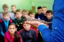 Ukraine. Khmelnytsky Region. May 2018. Man Holds A Gray Lizard On His Hand And Shows It To Children_