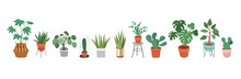 Urban Jungle, Trendy Home Decor With Plants, Planters, Cacti, Tropical Leaves