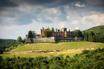 Wall Mural - Castles and vineyards of Tuscany, Chianti wine region of Italy