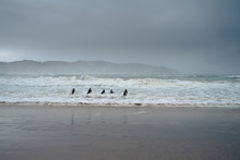 Surfers In Buffels Baai, South Africa