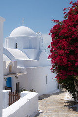 Wall Mural -  A small chapel next to the road with pink flowers