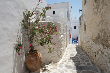 Wall Mural - Narrow white streets in the Chora of Amorgos