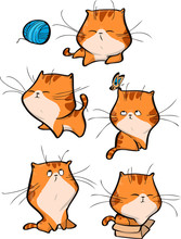 Orange Tabby Cat With Yarn Free Stock Photo Public Domain Pictures