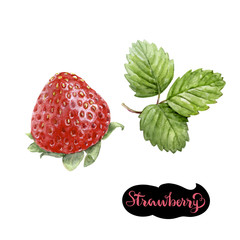 Wall Mural - strawberry watercolor illustration