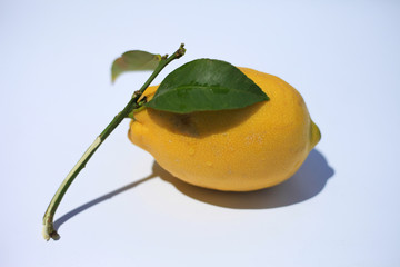 California Lemon