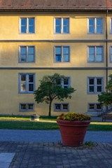 Wall Mural - historical city park buildings