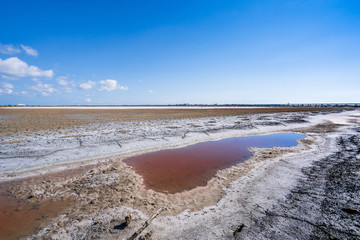 Abandoned salt beach with incredible beautiful iron red color bittern, only can be seen in drought time in Tainan Taiwan.