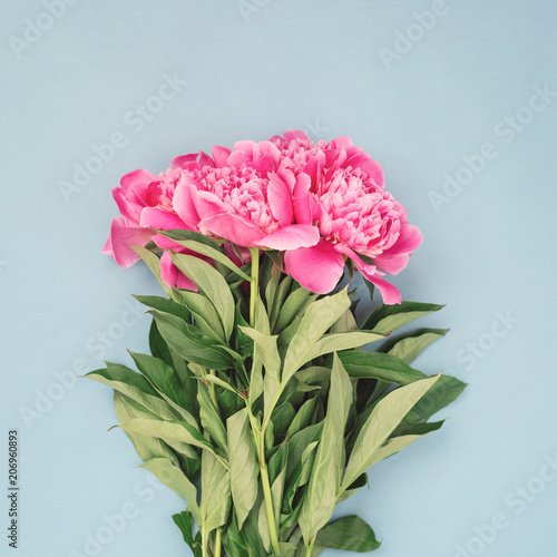 Bouquet of beautiful pink peony flowers on blue background. Image for social ...