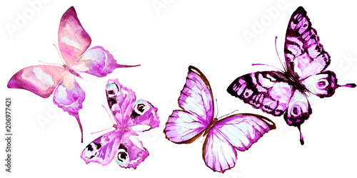 Zdjęcie XXL piękny różowy motyl, akwarela, na białym tle