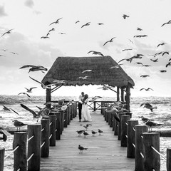 Wall Mural - Seagulls fly over gorgeous wedding couple kissing on the wooden quay over the sea